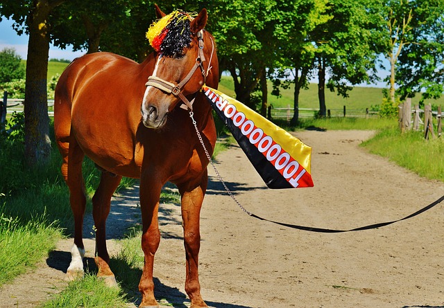 在任何体育 在任何体育