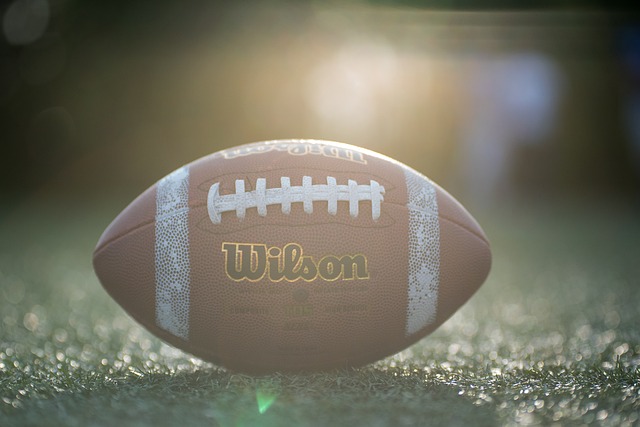 到新奇和兴 到新奇和兴