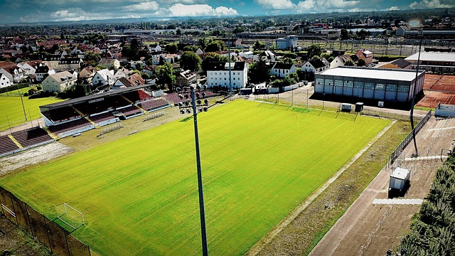 年輕力軍的 年輕力軍的