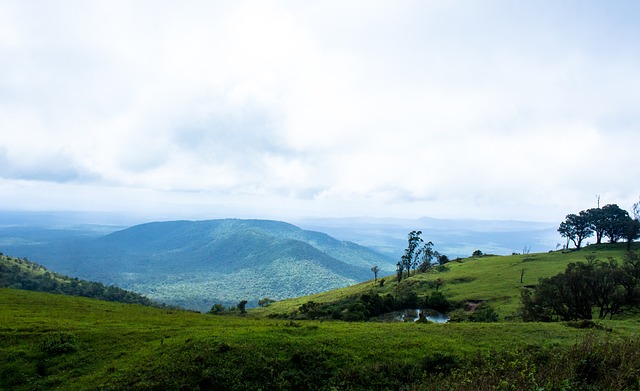 更国际化的 更国际化的