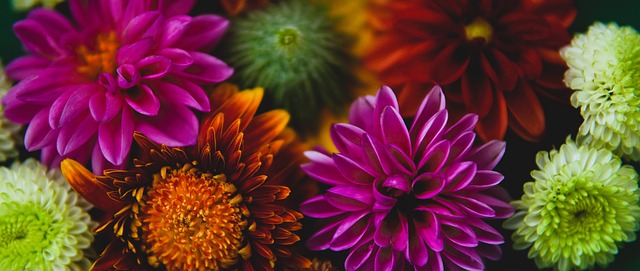 团结的精神 团结的精神