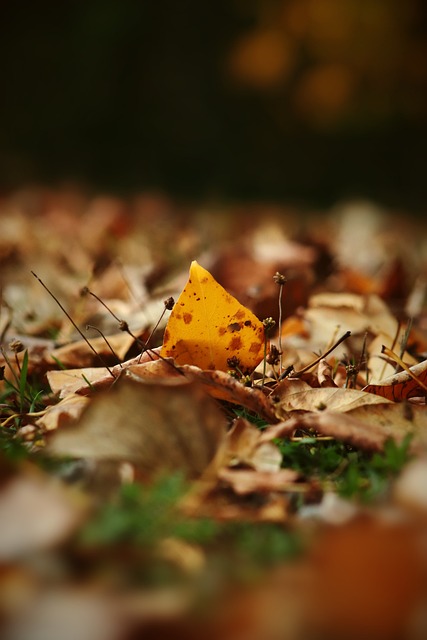 亮点之一 亮点之一