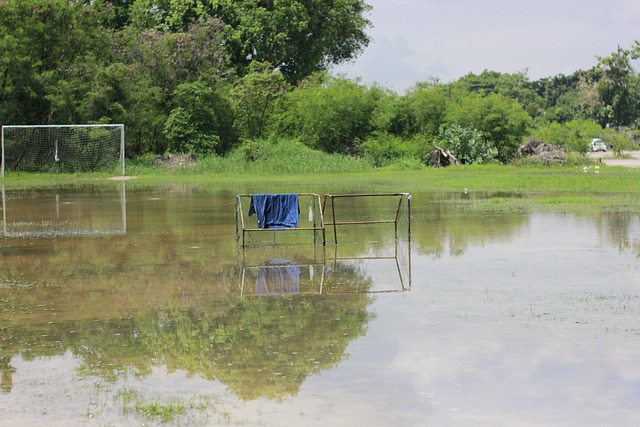 正式开启 正式开启