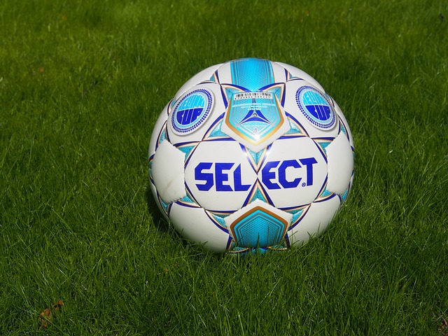 他都展现出 他都展现出