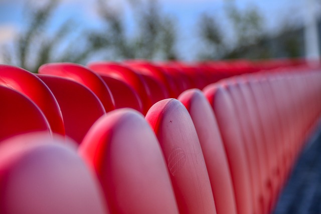 让我们从今 让我们从今