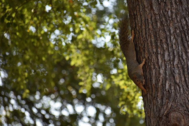 我们将详细 我们将详细
