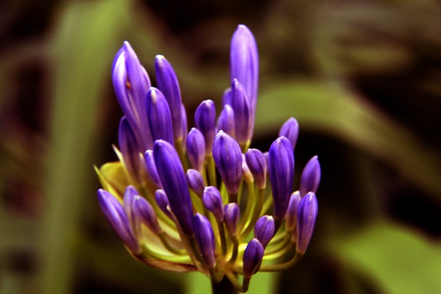 还因一代代 还因一代代